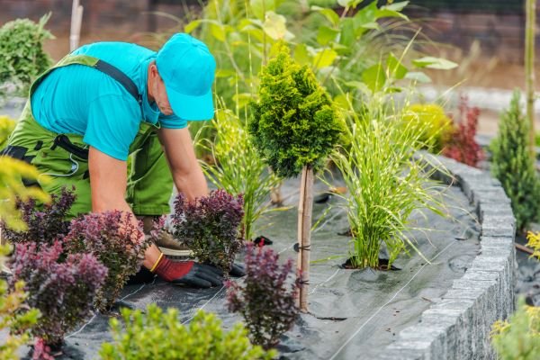 Landscaping Services