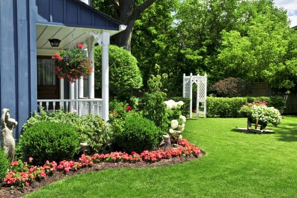 Yard Designing