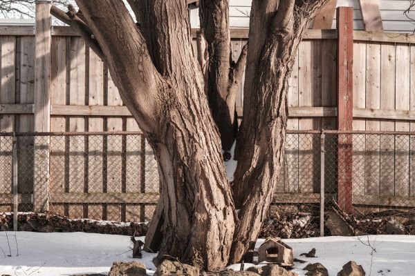 Yard Items Moving