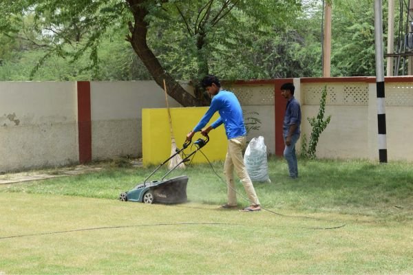 Yard Maintenance