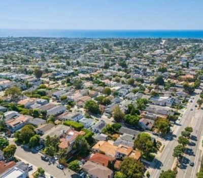 Tree Section, Manhattan Beach